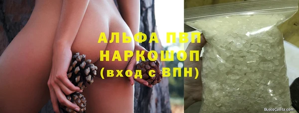 дурь Богданович