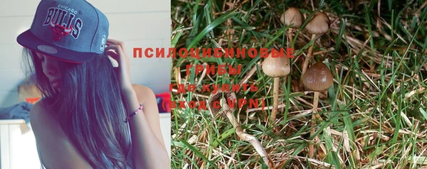 прущая мука Беломорск